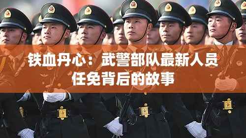 无影无踪 第5页