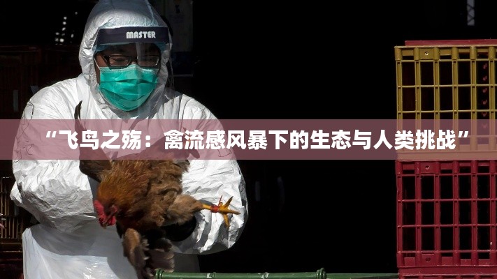 “飞鸟之殇:禽流感风暴下的生态与人类挑战”