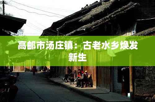 高邮市汤庄镇：古老水乡焕发新生