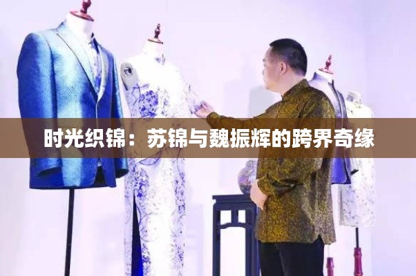 时光织锦：苏锦与魏振辉的跨界奇缘