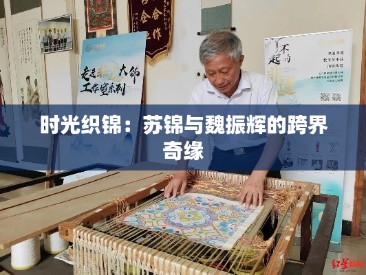 时光织锦:苏锦与魏振辉的跨界奇缘