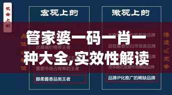 管家婆一码一肖一种大全,实效性解读策略_钻石版70.694-3