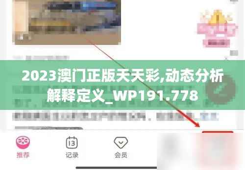 2023澳门正版天天彩,动态分析解释定义_WP191.778