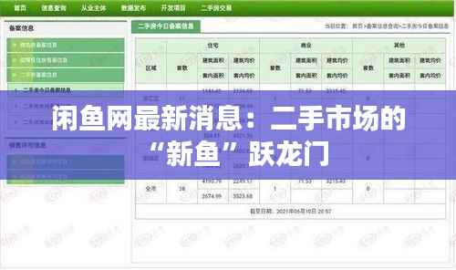 闲鱼网最新消息：二手市场的“新鱼”跃龙门
