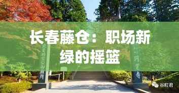 长春藤仓:职场新绿的摇篮