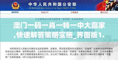 澳门一码一肖一特一中大羸家,快速解答策略实施_界面版1.337