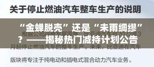 “金蝉脱壳”还是“未雨绸缪”？——揭秘热门减持计划公告背后的故事