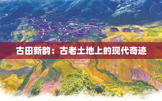 一言九鼎 第5页