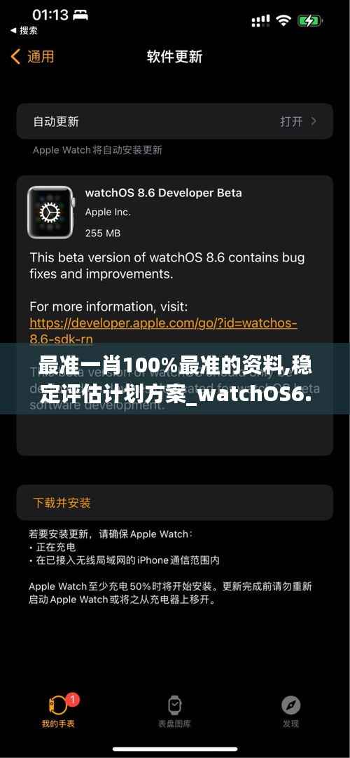 最准一肖100%最准的资料,稳定评估计划方案_watchOS6.722