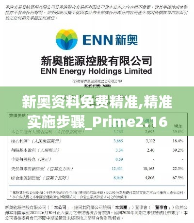 新奥资料免费精准,精准实施步骤_Prime2.161