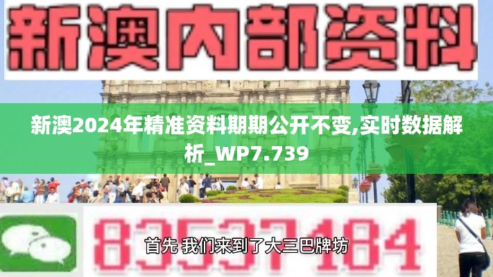 新澳2024年精准资料期期公开不变,实时数据解析_WP7.739