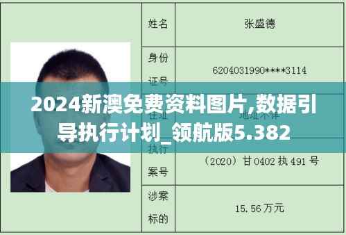 2024新澳免费资料图片,数据引导执行计划_领航版5.382