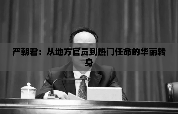 严朝君：从地方官员到热门任命的华丽转身