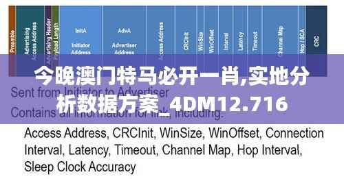今晚澳门特马必开一肖,实地分析数据方案_4DM12.716