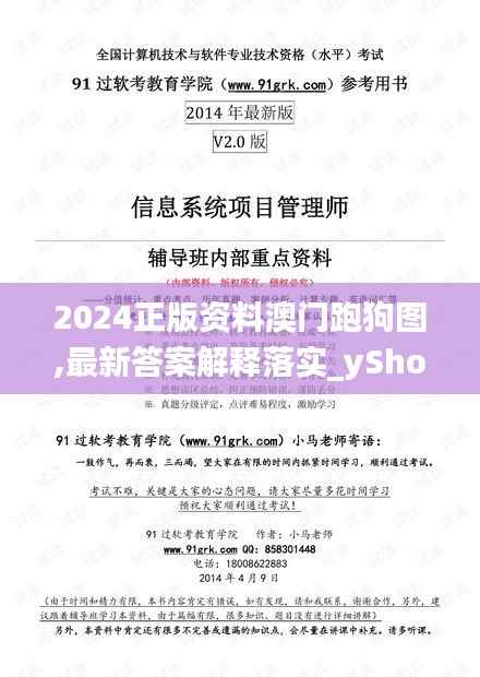 2024正版资料澳门跑狗图,最新答案解释落实_yShop3.617