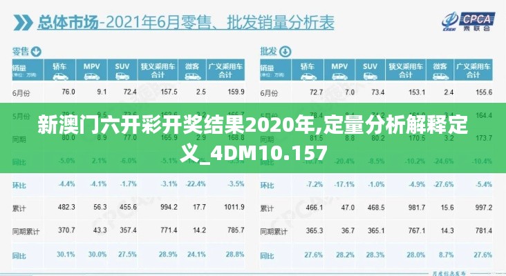 新澳门六开彩开奖结果2020年,定量分析解释定义_4DM10.157