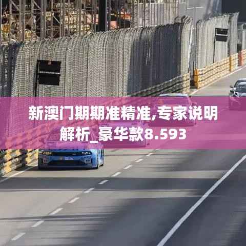 新澳门期期准精准,专家说明解析_豪华款8.593