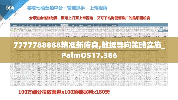 7777788888精准新传真,数据导向策略实施_PalmOS17.386