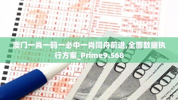 澳门一肖一码一必中一肖同舟前进,全面数据执行方案_Prime9.568