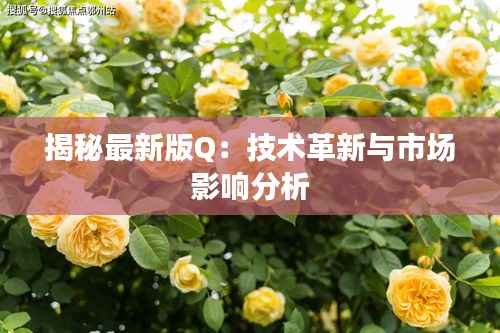 揭秘最新版Q:技术革新与市场影响分析