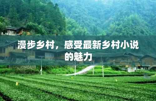 漫步乡村,感受最新乡村小说的魅力