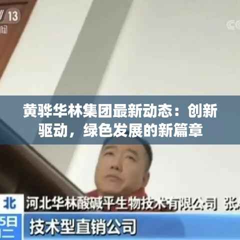 黄骅华林集团最新动态:创新驱动,绿色发展的新篇章