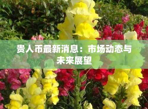 贵人币最新消息：市场动态与未来展望