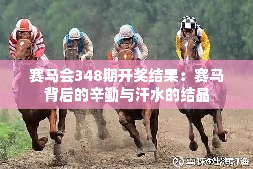赛马会348期开奖结果:赛马背后的辛勤与汗水的结晶