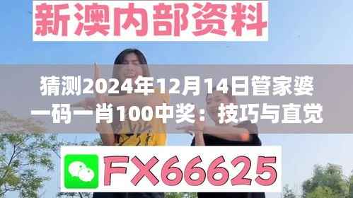 猜测2024年12月14日管家婆一码一肖100中奖:技巧与直觉的博弈