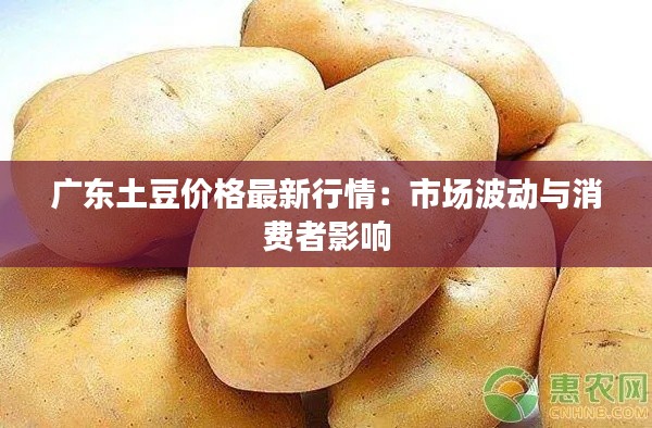 广东土豆价格最新行情:市场波动与消费者影响