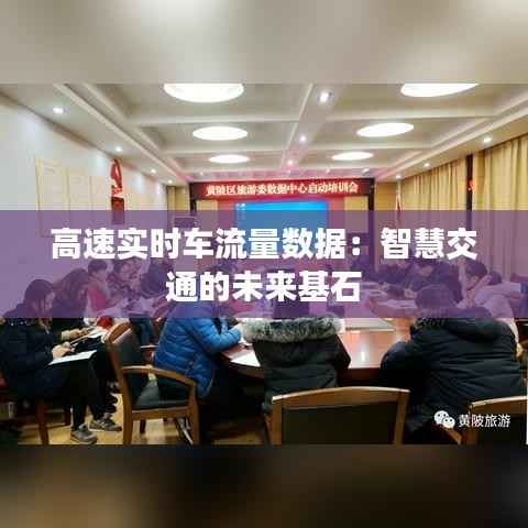 高速实时车流量数据：智慧交通的未来基石