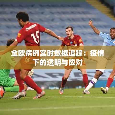 全欧病例实时数据追踪:疫情下的透明与应对