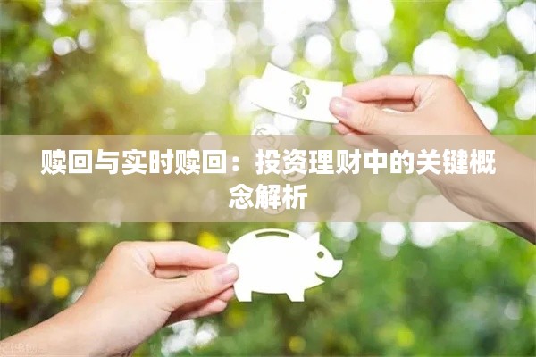 赎回与实时赎回:投资理财中的关键概念解析