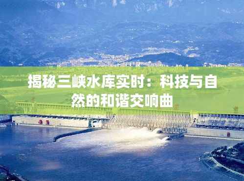 因陋就简 第3页