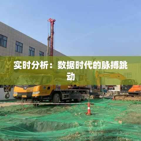 实时分析:数据时代的脉搏跳动