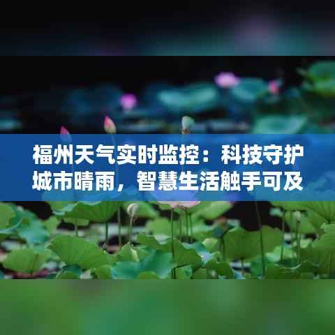 福州天气实时监控：科技守护城市晴雨，智慧生活触手可及