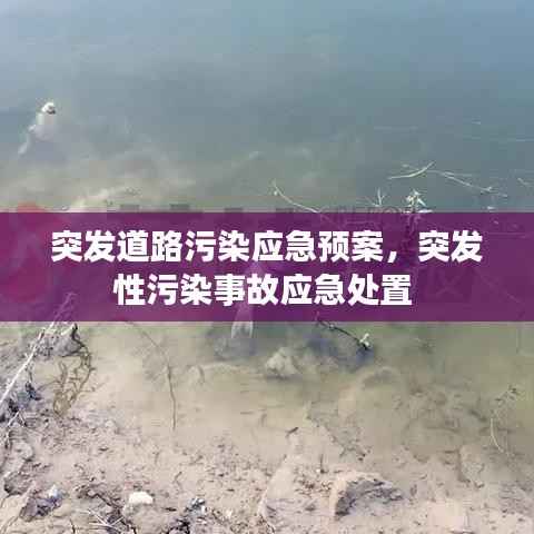 突发道路污染应急预案,突发性污染事故应急处置