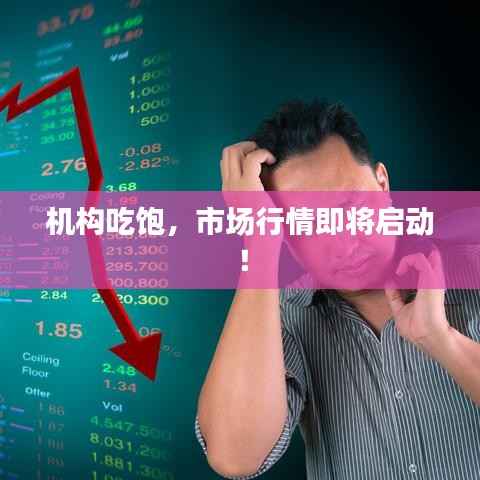 机构吃饱，市场行情即将启动！