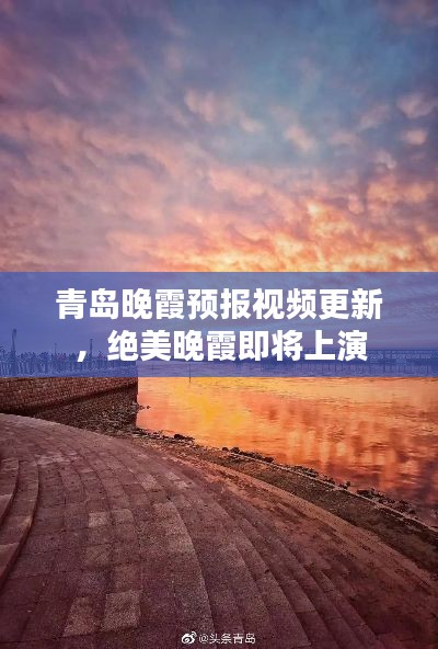 鞭驽策蹇