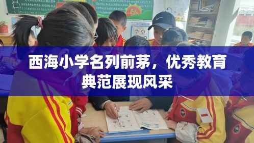 西海小学名列前茅,优秀教育典范展现风采