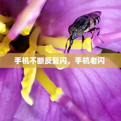 手机不断反复闪,手机老闪