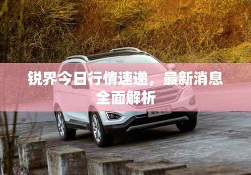 锐界今日行情速递,最新消息全面解析