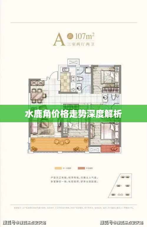 物稀为贵 第5页