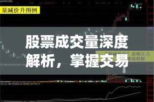 尽心尽力 第3页