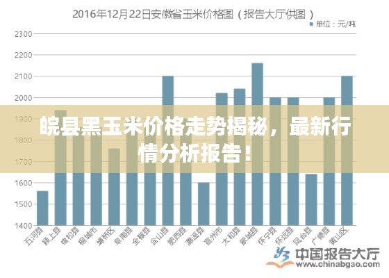 皖县黑玉米价格走势揭秘,最新行情分析报告!