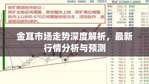 金耳市场走势深度解析，最新行情分析与预测