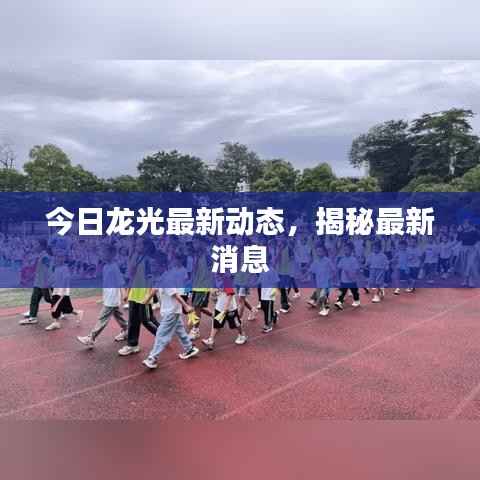今日龙光最新动态，揭秘最新消息