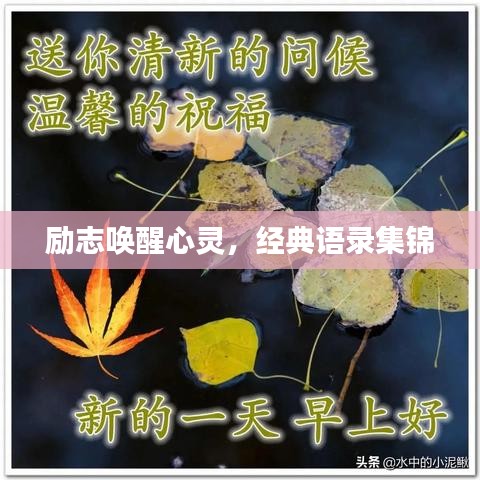 励志唤醒心灵，经典语录集锦