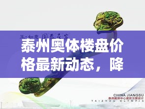 泰州奥体楼盘价格最新动态,降价趋势深度解析
