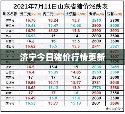 炊粱跨卫 第3页